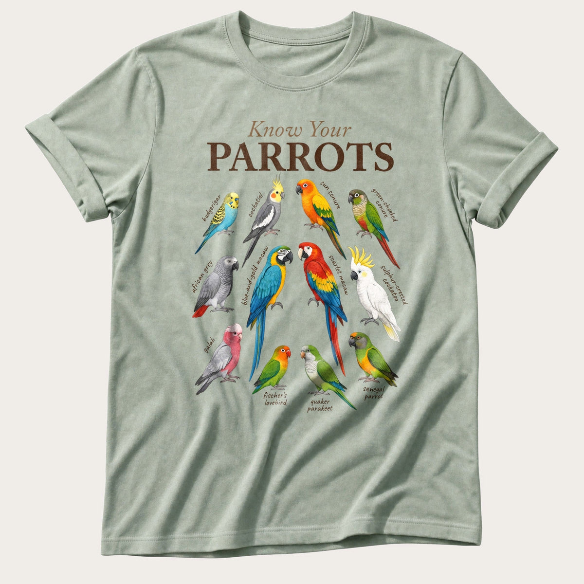 Know Your Parrots — Bay Comfort Colors tee