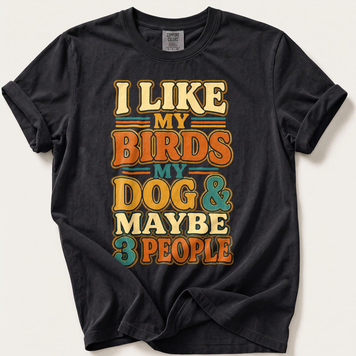My Birds My Dog And Maybe 3 People — Black Comfort Colors tee