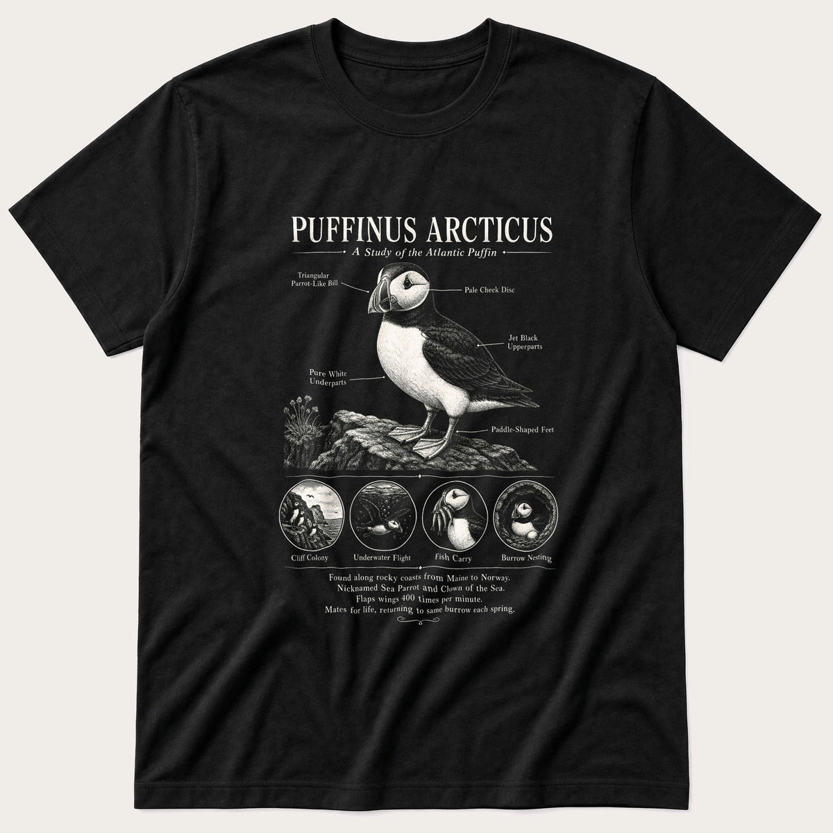 Puffin Anatomy 66 — Black T-Shirt