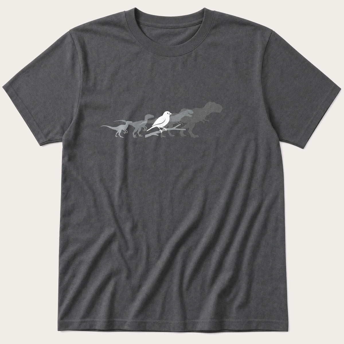 Birdy Evolution — Charcoal T-Shirt