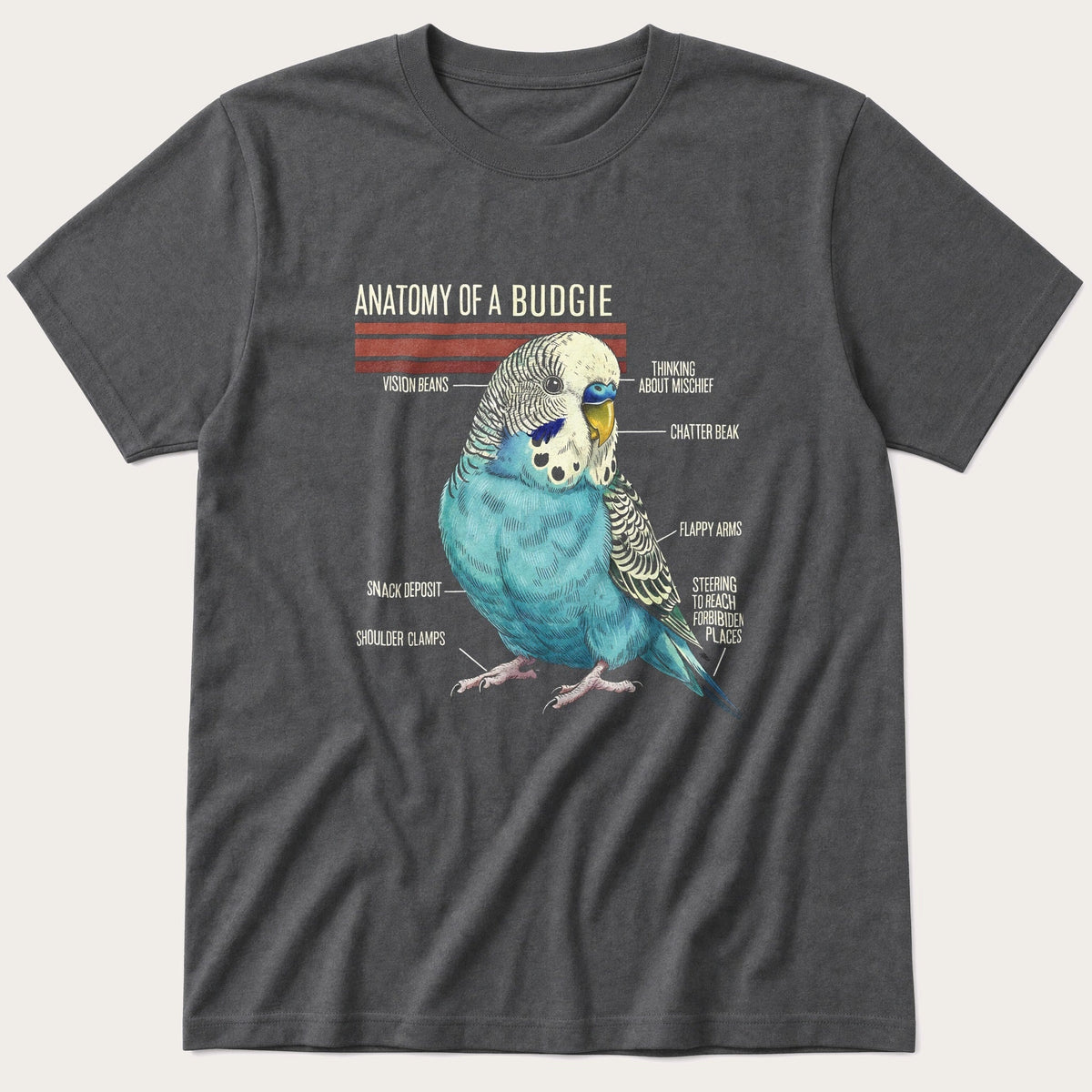 Budgie Anatomy — Charcoal T-Shirt