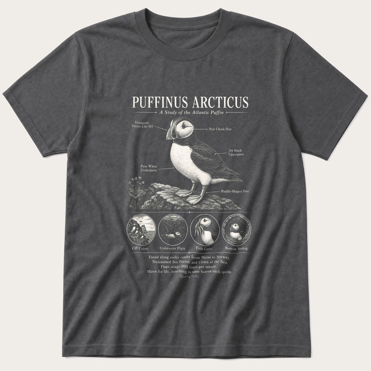 Puffin Anatomy 66 — Charcoal T-Shirt