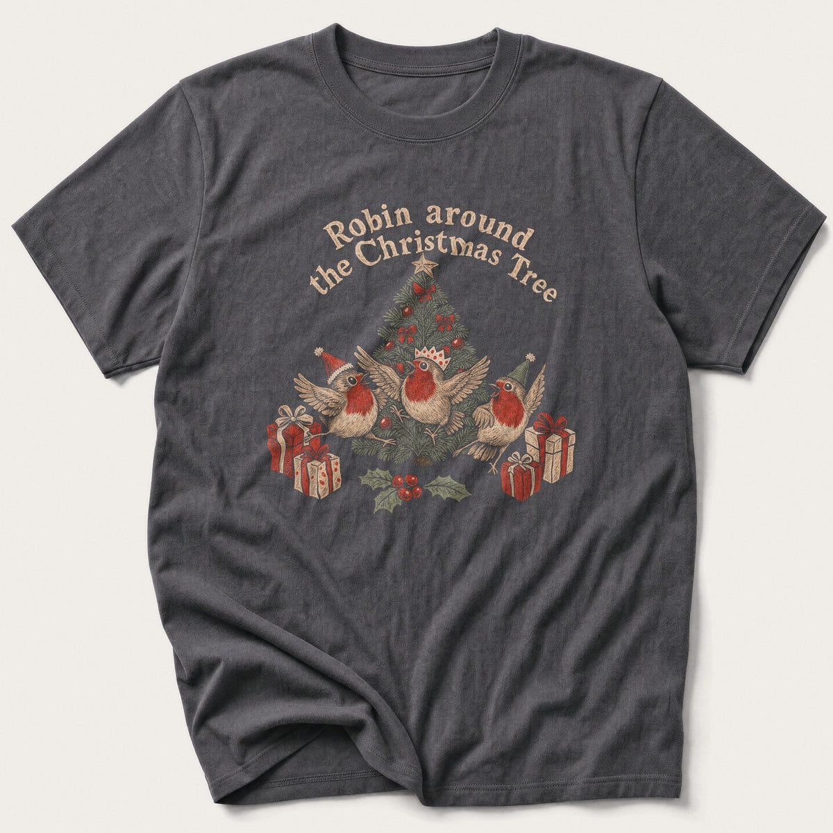 Robin Around Embroidery — Charcoal T-Shirt