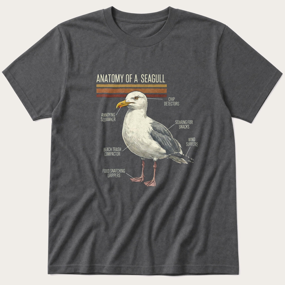 Seagull Anatomy — Charcoal T-Shirt