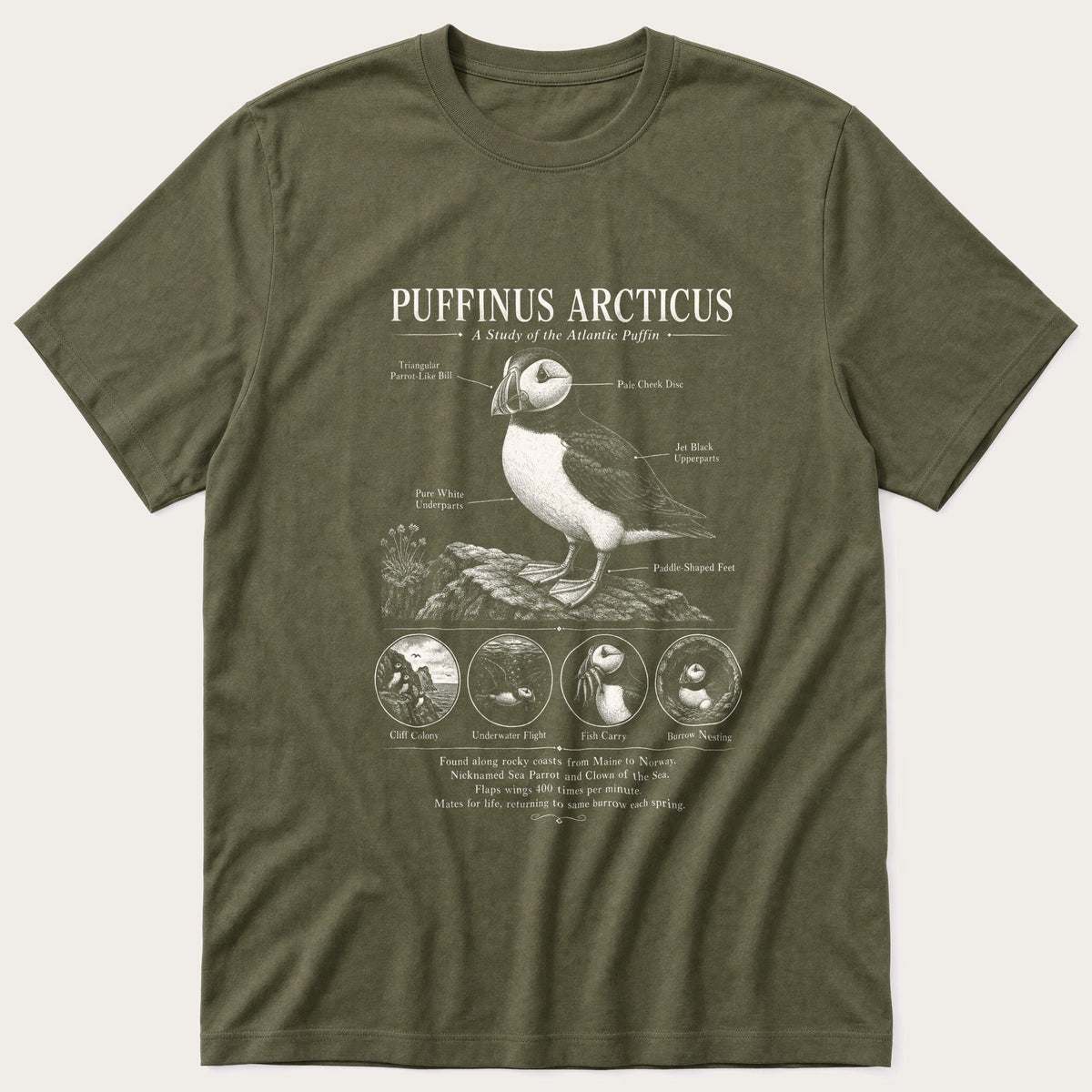 Puffin Anatomy 66 — Olive T-Shirt