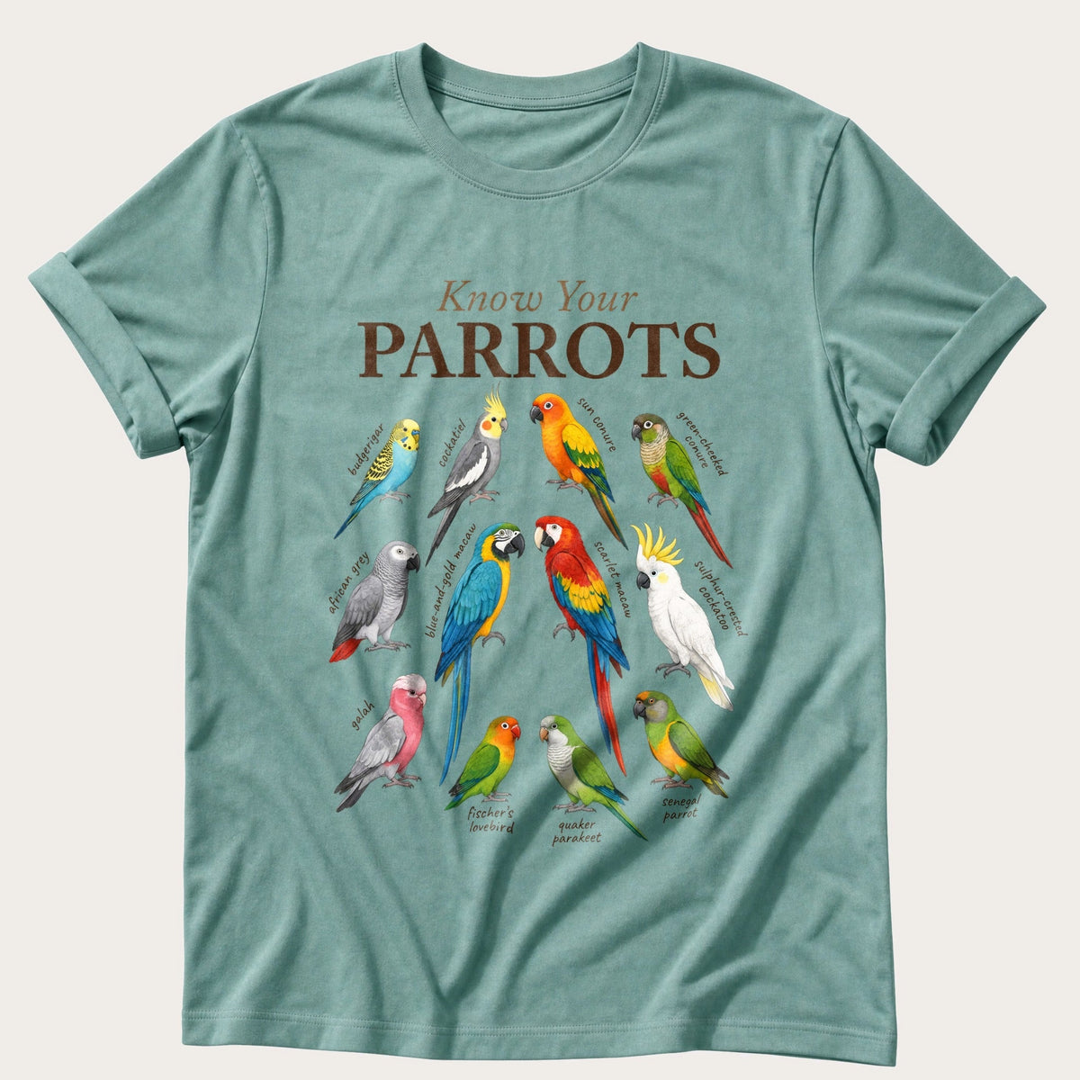 Know Your Parrots — Seafoam Comfort Colors tee