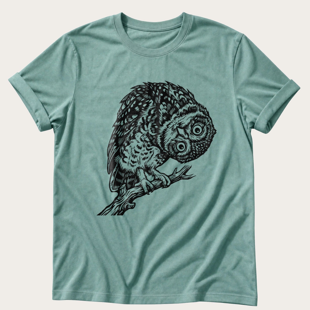 Tilted Head Owl 11 — Seafoam Comfort Colors tee